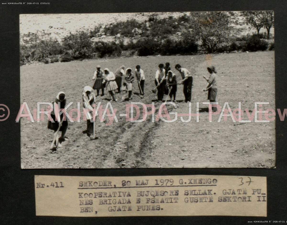 foto1